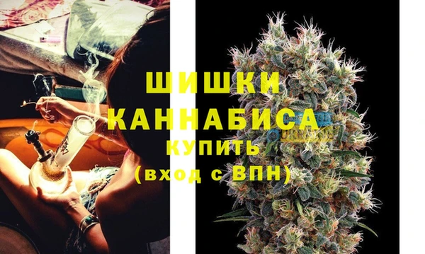 Альфа ПВП Верея