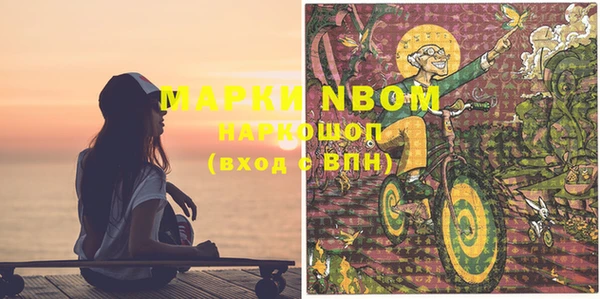 Альфа ПВП Верея