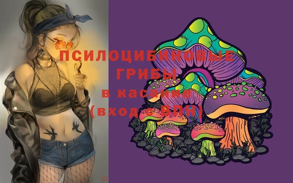 Альфа ПВП Верея