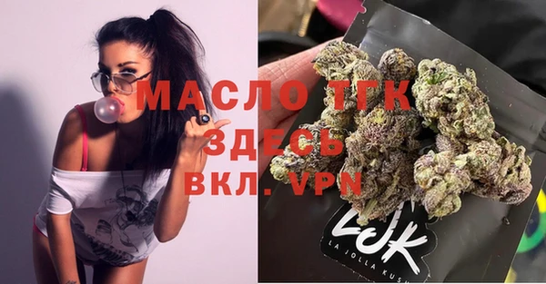 Альфа ПВП Верея